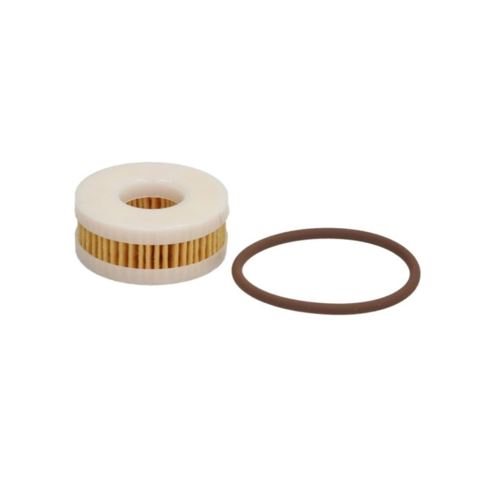 FILTRO ELETTROVALVOLA LANDI PER LI02